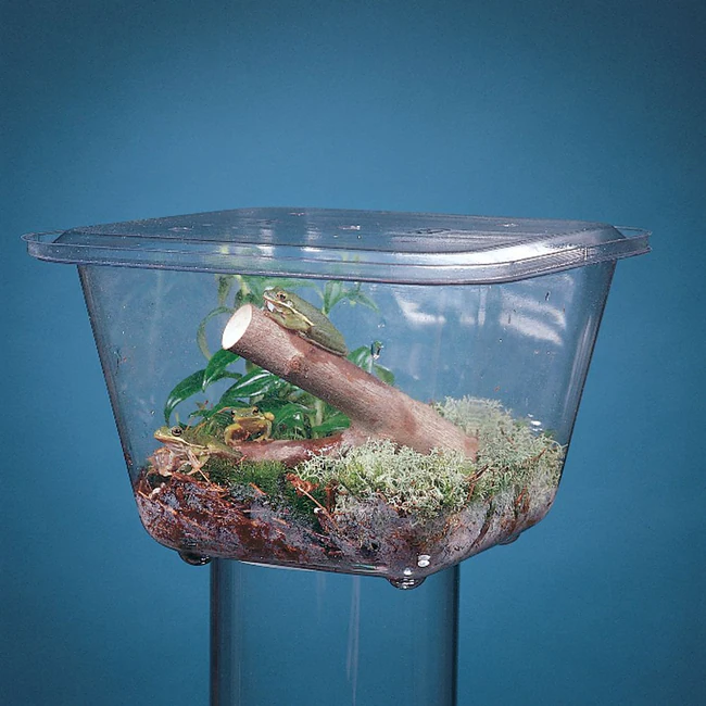 Carolina™ Aquarium/Terrarium, Plastic Tank 1 Ea.