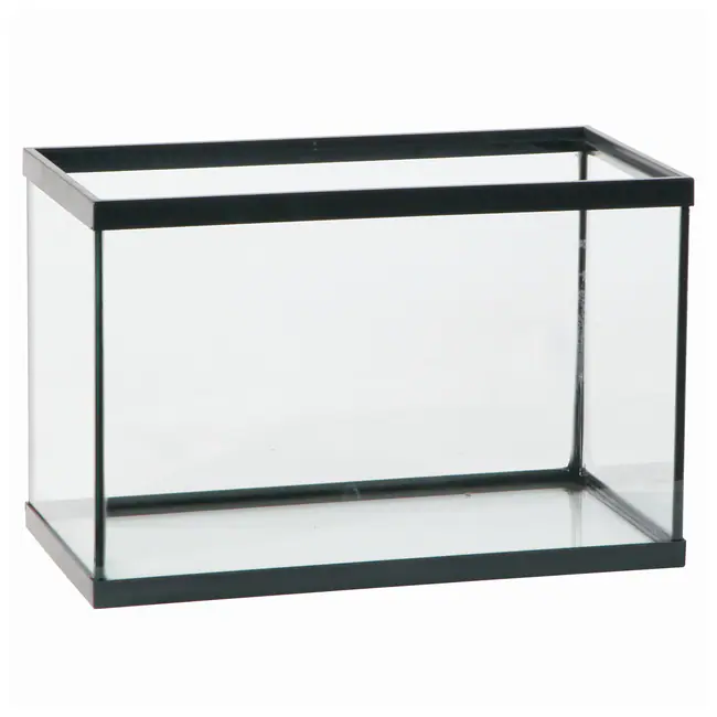 AquaPhoenix Scientific™ Education Aquarium Tanks 20 gal.