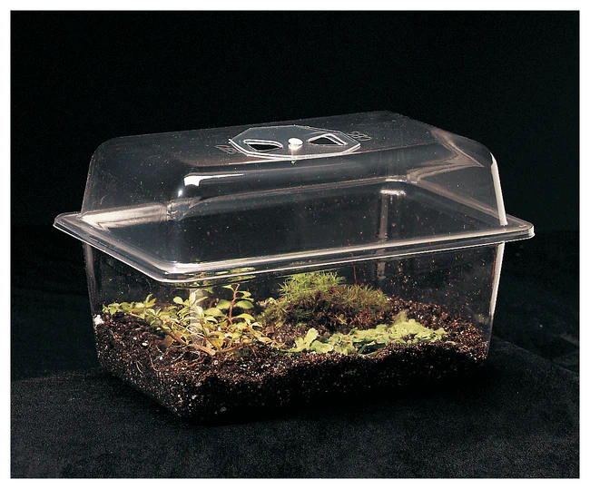 Carolina™ Bog Terrarium 1 Ea.