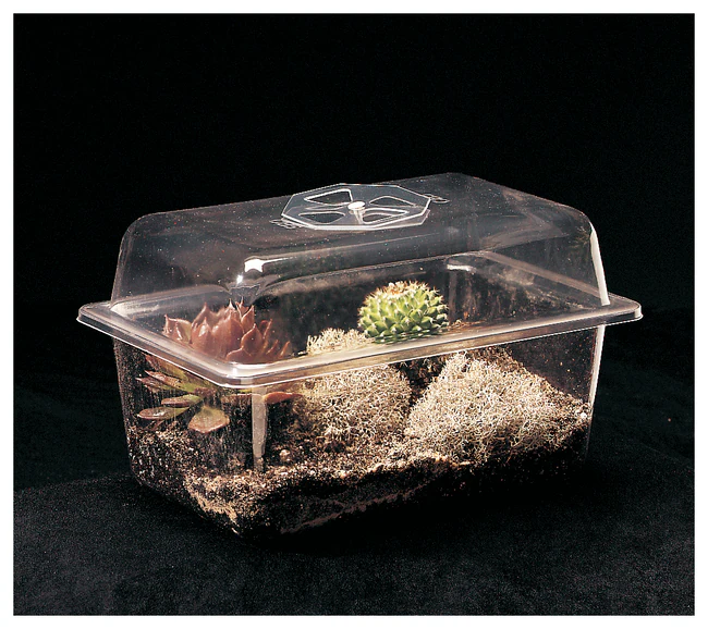 Carolina™ Sandhill Terrarium 1 Ea.