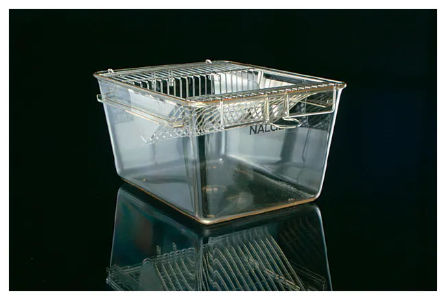 Tecniplast™ Deluxe Reusable Animal Cages 58.7 x 38.5 x 20.3 cm, Polycarbonate, 250°F
