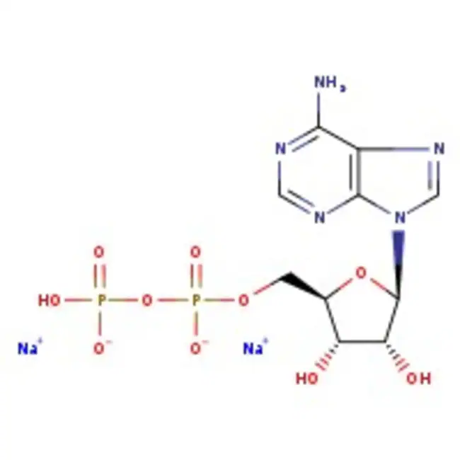 Adenosine-5'-Diphosphate Disodium Salt from Yeast, MP Biomedicals&trade; 1 g