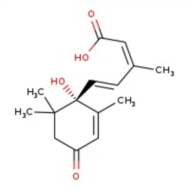 (S)-(+)-Abscisic Acid 98.0+%, TCI America&trade; 100 mg