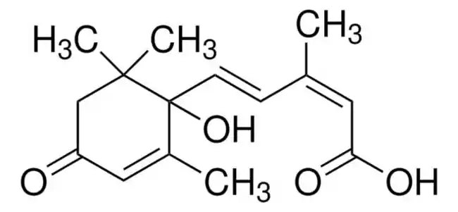 Sigma Aldrich 2-cis,4-trans-Abscisic acid 50 mg