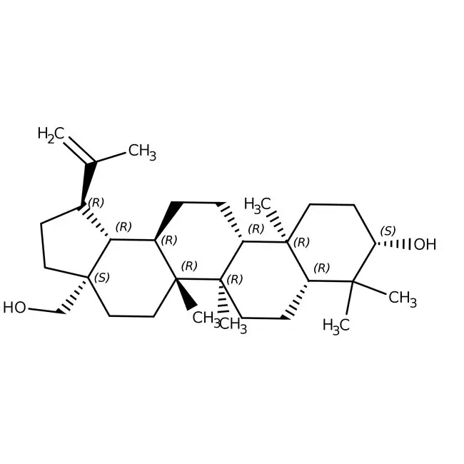 Betulin, 95.2%, MP Biomedicals&trade; 1 g