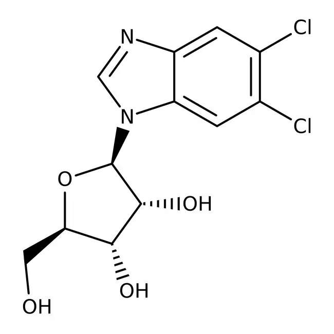 5,6-Dichlorobenzimidazole 1-beta-D-Ribofuranoside 98.0+%, TCI America&trade; 1 g