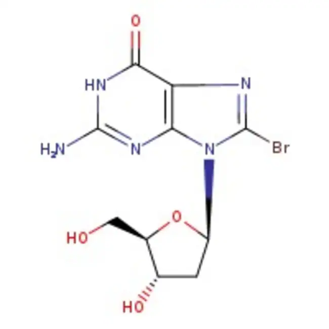 8-Bromo-2'-deoxyguanosine, 99% 1 g