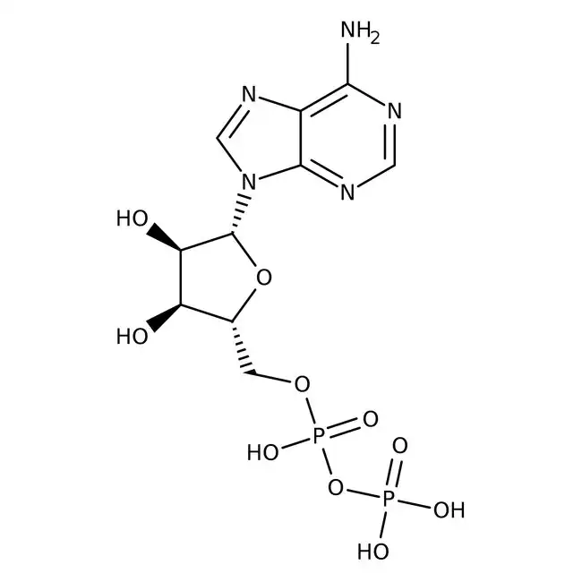 Adenosine-5'-diphosphate Monosodium Salt, 97.7%, MP Biomedicals&trade; 500 mg