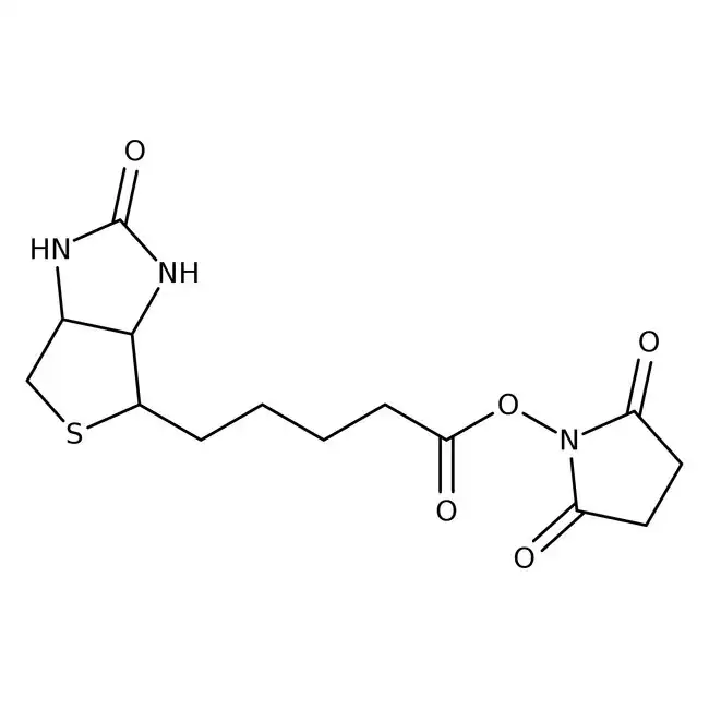 (+)-Biotin N-succinimidyl ester, 98% 1 g