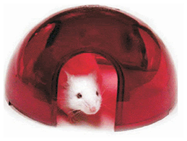 Bio-Serv&trade;&nbsp;Mouse Igloo&trade; Rodent Enrichment Device, Certified Red