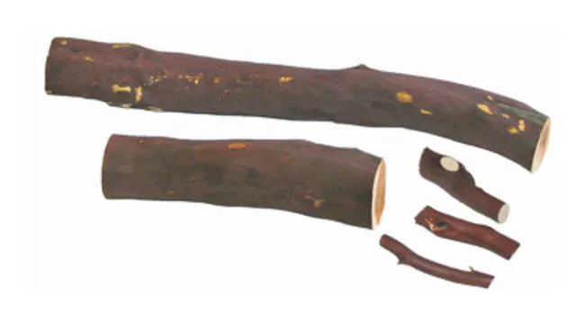 Bio-Serv&trade;&nbsp;Manzanita Wood Gnawing Sticks 3 in.
